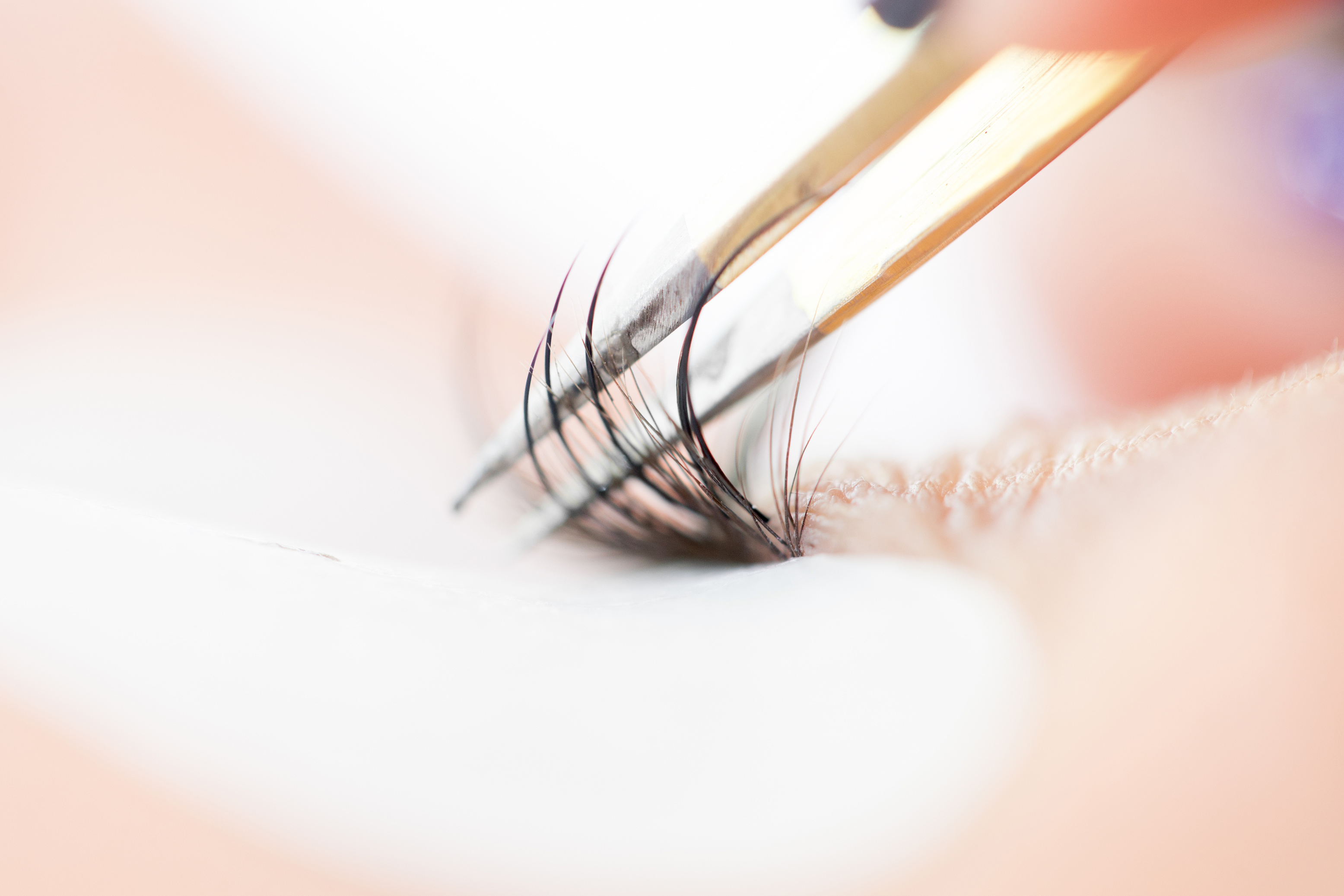 Eyelash extension